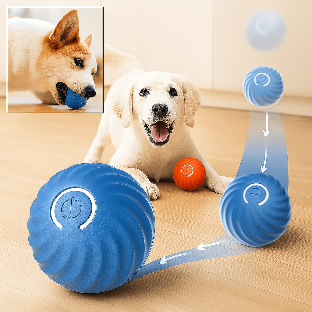 Interaktiver Spielball für Hunde – Hüpfball - Spielzeug auf Knopfdruck | Furrivio™ für Hunde & Katzen – jetzt bei Furrivio™