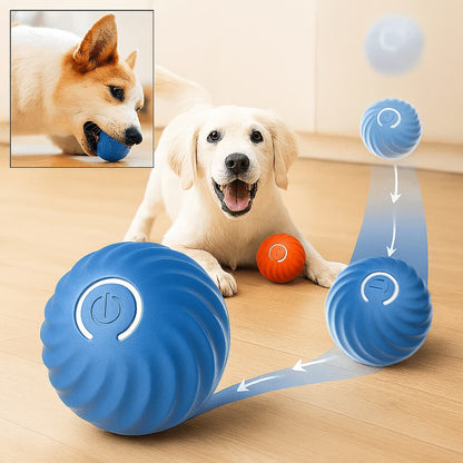 Interaktiver Spielball für Hunde – Hüpfball - Spielzeug auf Knopfdruck | Furrivio™ für Hunde & Katzen – jetzt bei Furrivio™ kaufen