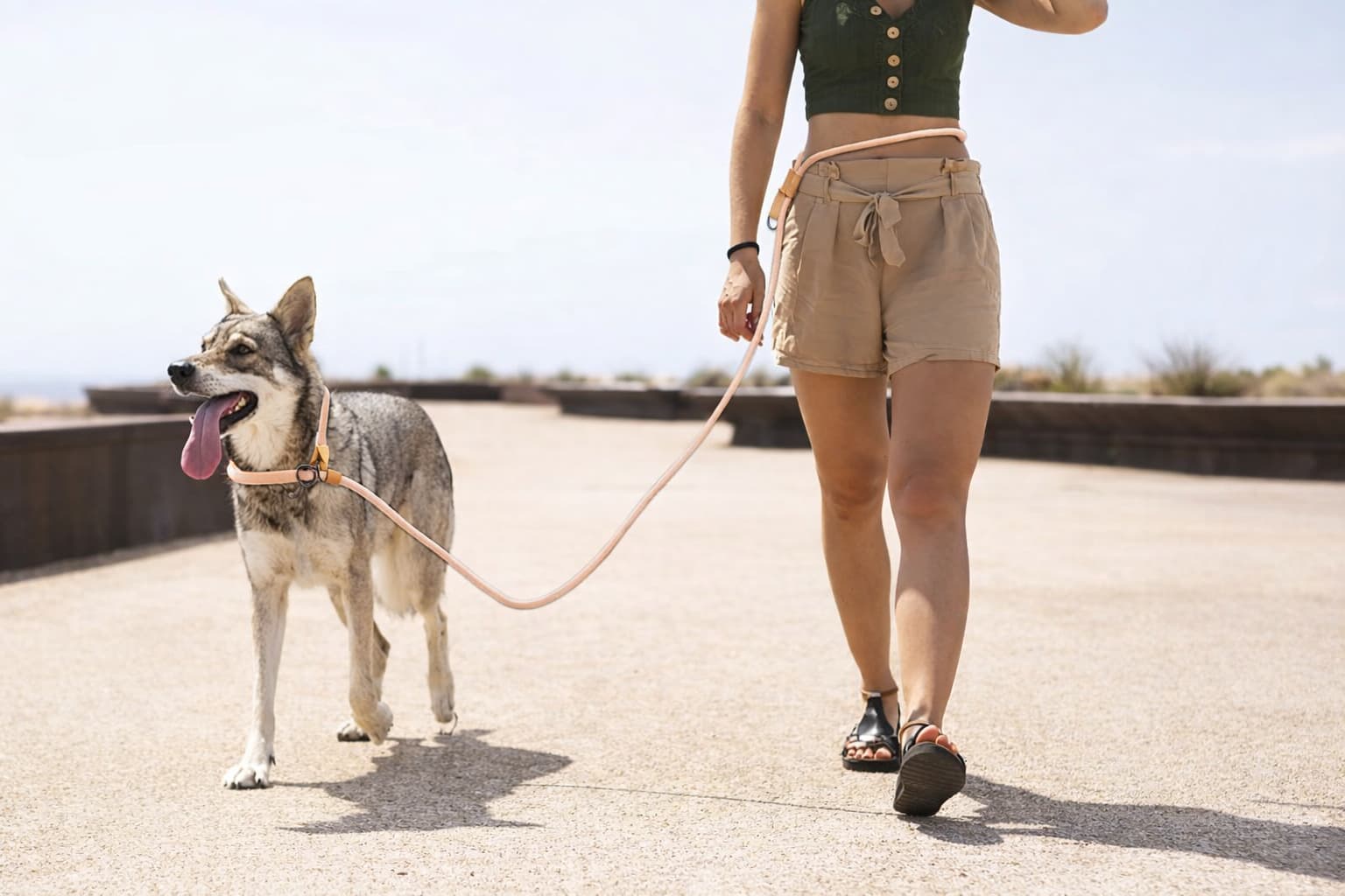 Joggingleine mit Bauchgurt - smarte Hundeleine zum Laufen für Hunde & Katzen – jetzt bei Furrivio kaufen