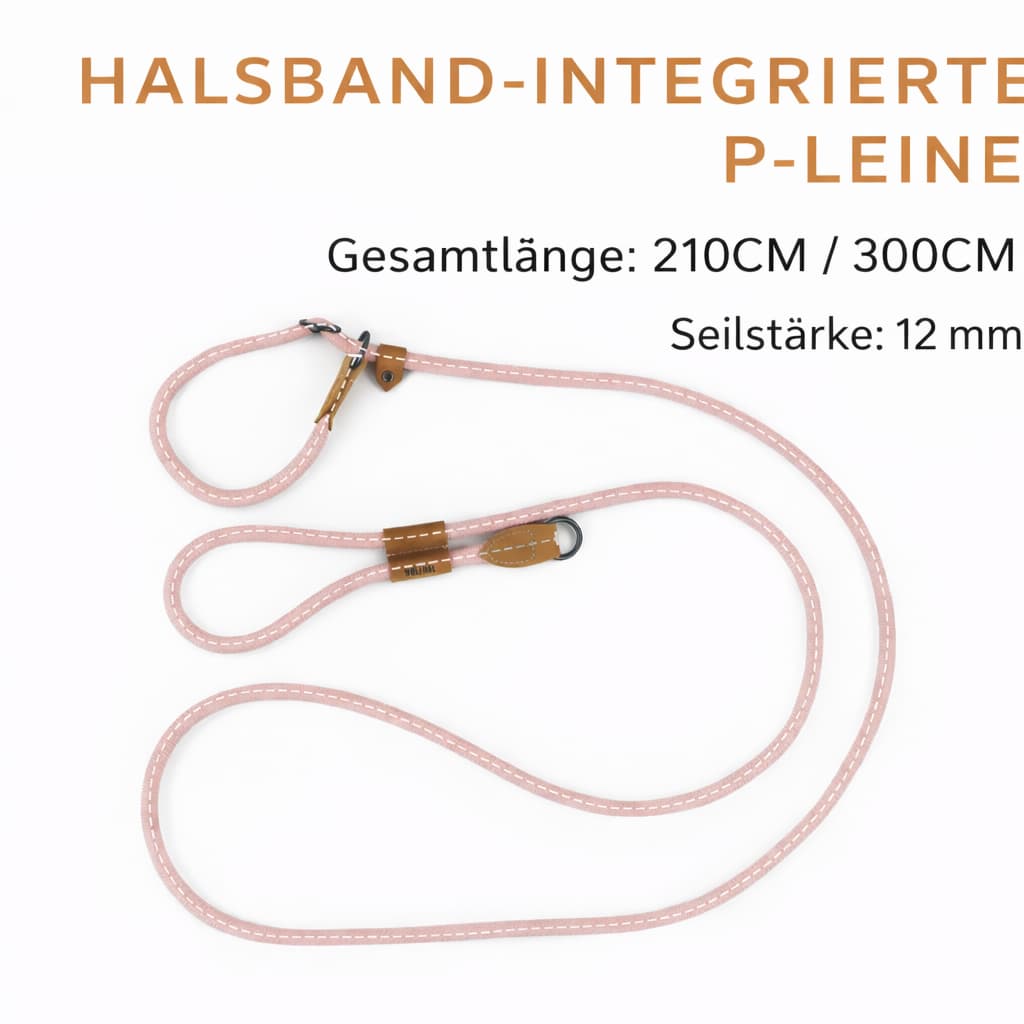 Joggingleine mit Bauchgurt - smarte Hundeleine zum Laufen für Hunde & Katzen – jetzt bei Furrivio kaufen