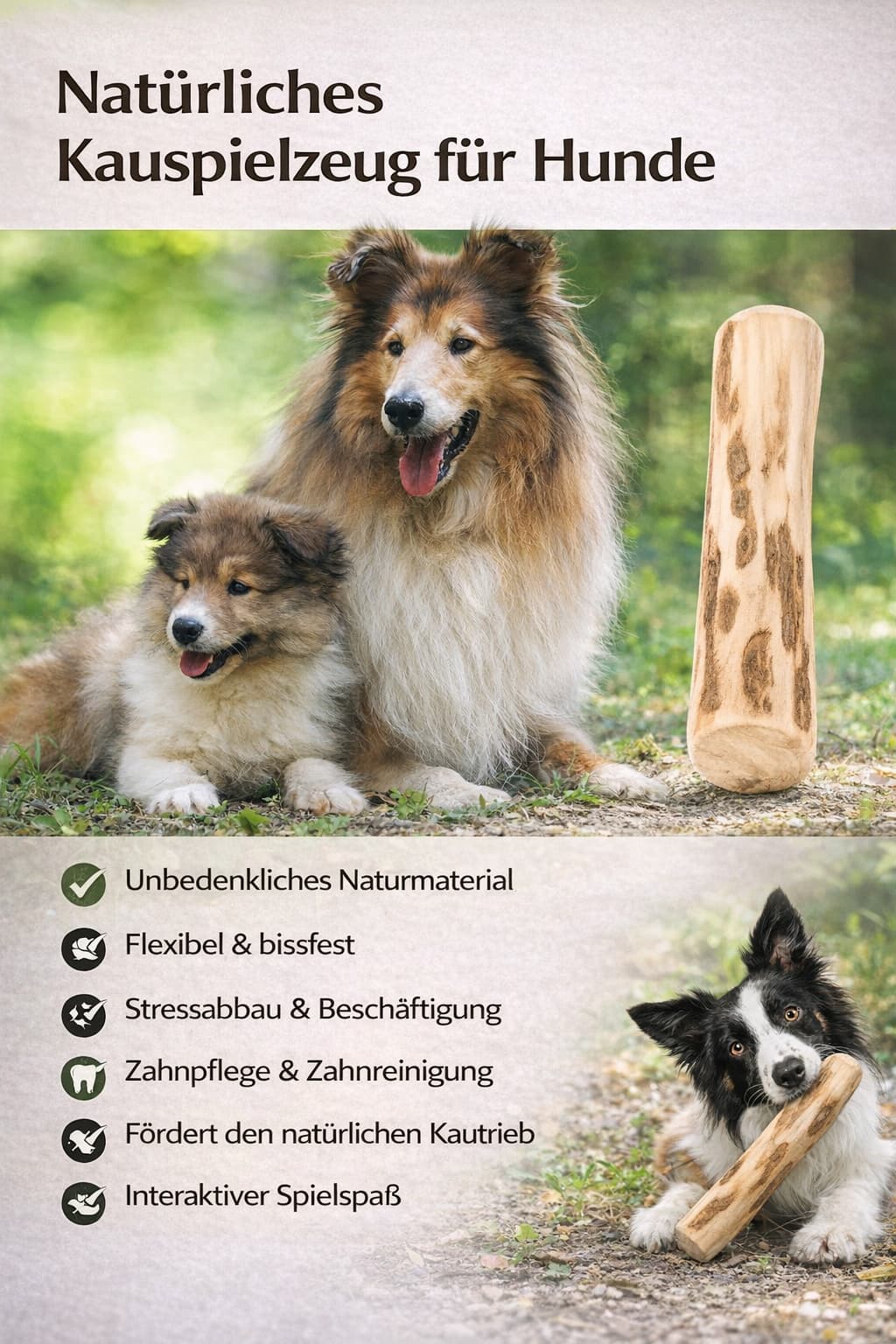Kaffeholz für Welpen - Kaffeewurzel Hund | Furrivio™ für Hunde & Katzen – jetzt bei Furrivio kaufen