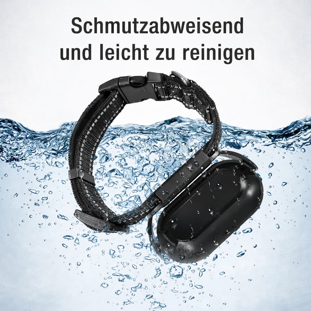 Kamera für Katzenhalsband - hochwertige Katzen GoPro | Furrivio für Hunde & Katzen – jetzt bei Furrivio kaufen