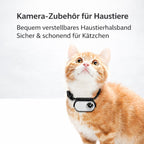 Kamera für Katzenhalsband - hochwertige Katzen GoPro | Furrivio für Hunde & Katzen – jetzt bei Furrivio kaufen