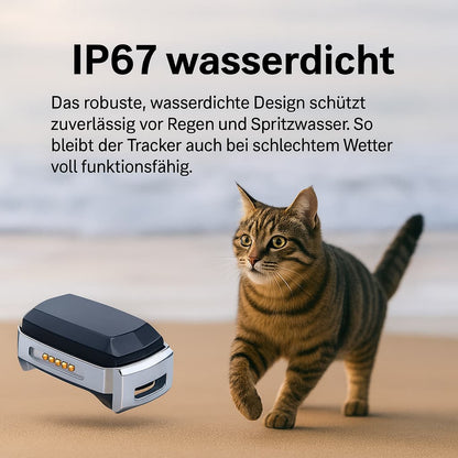 Katzen GPS Tracker ohne Abo (wasserdicht) | Furrivio™ für Hunde & Katzen – jetzt bei Furrivio™ kaufen