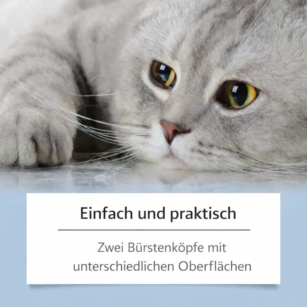 Katzen Mitesser Reiniger – Sanfte Pflege bei Kinnakne | Furrivio für Hunde & Katzen – jetzt bei Furrivio kaufen