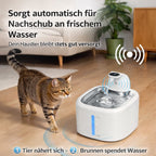 Katzenbrunnen ohne Kabel - moderner Trinkbrunnen mit Akku für Hunde & Katzen – jetzt bei Furrivio kaufen