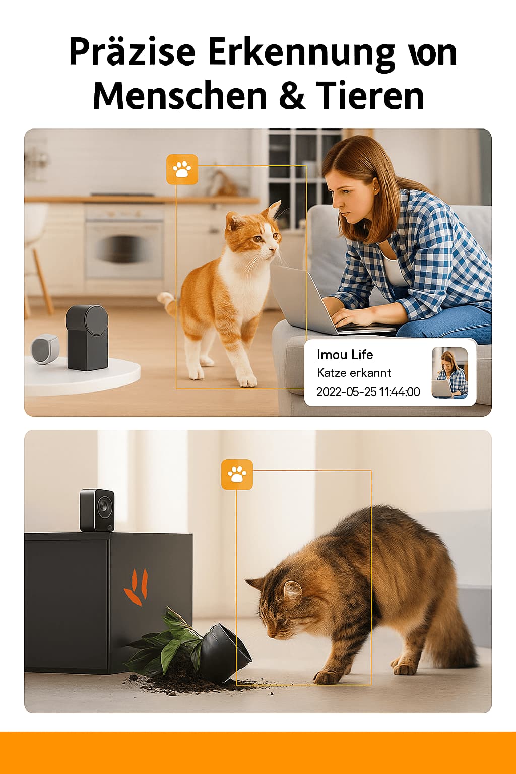 Katzenkamera - Überwachungskamera mit Sprachfunktion & Mikrofon | Furrivio™ für Hunde & Katzen – jetzt bei Furrivio™ kaufen