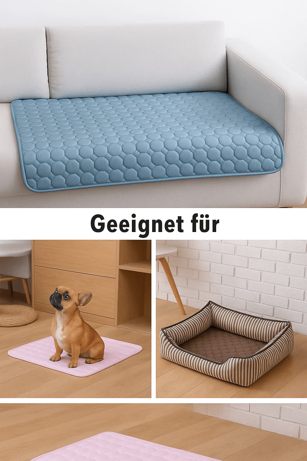 kuhldecke-fuer-hunde-auf-sofa