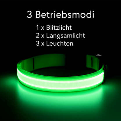 Leuchthalsband für Hunde – Wiederaufladbar per USB, mit LED - Licht für Nacht & Sicherheit | Furrivio™ für Hunde & Katzen – jetzt bei Furrivio™ kaufen