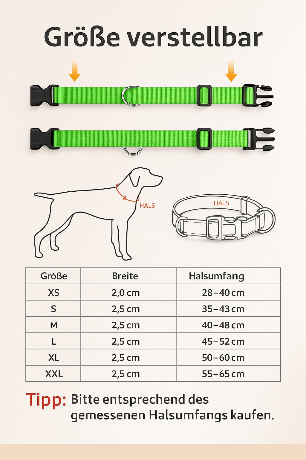 Leuchthalsband für Hunde – Wiederaufladbar per USB, mit LED - Licht für Nacht & Sicherheit | Furrivio™