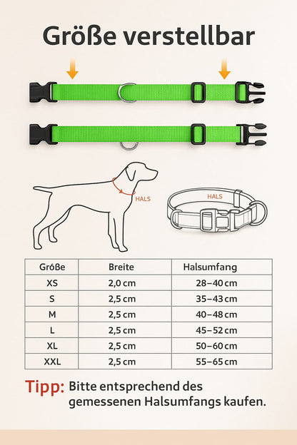 Leuchthalsband für Hunde – Wiederaufladbar per USB, mit LED - Licht für Nacht & Sicherheit | Furrivio™ für Hunde & Katzen – jetzt bei Furrivio™ kaufen