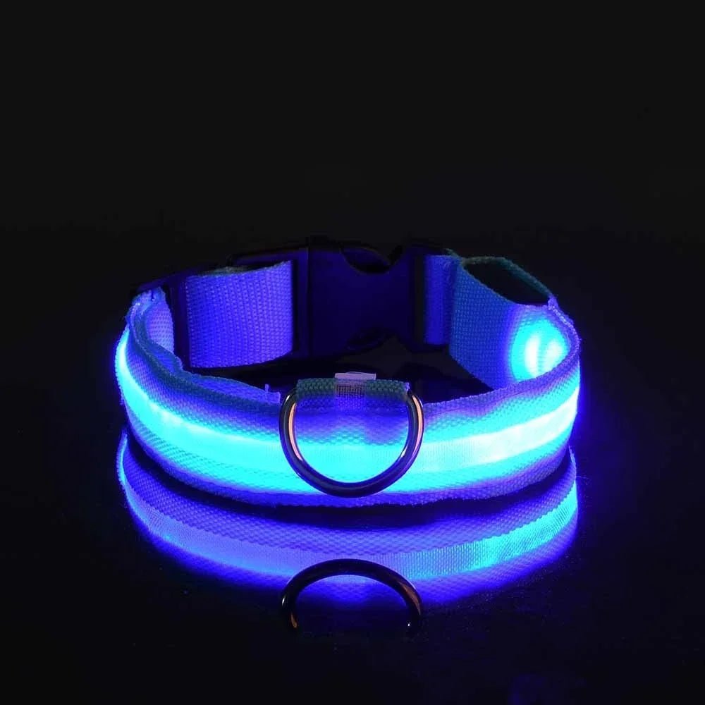 Leuchti für Hunde – auffälliges Hunde LED - Halsband | Furrivio™ für Hunde & Katzen – jetzt bei Furrivio kaufen