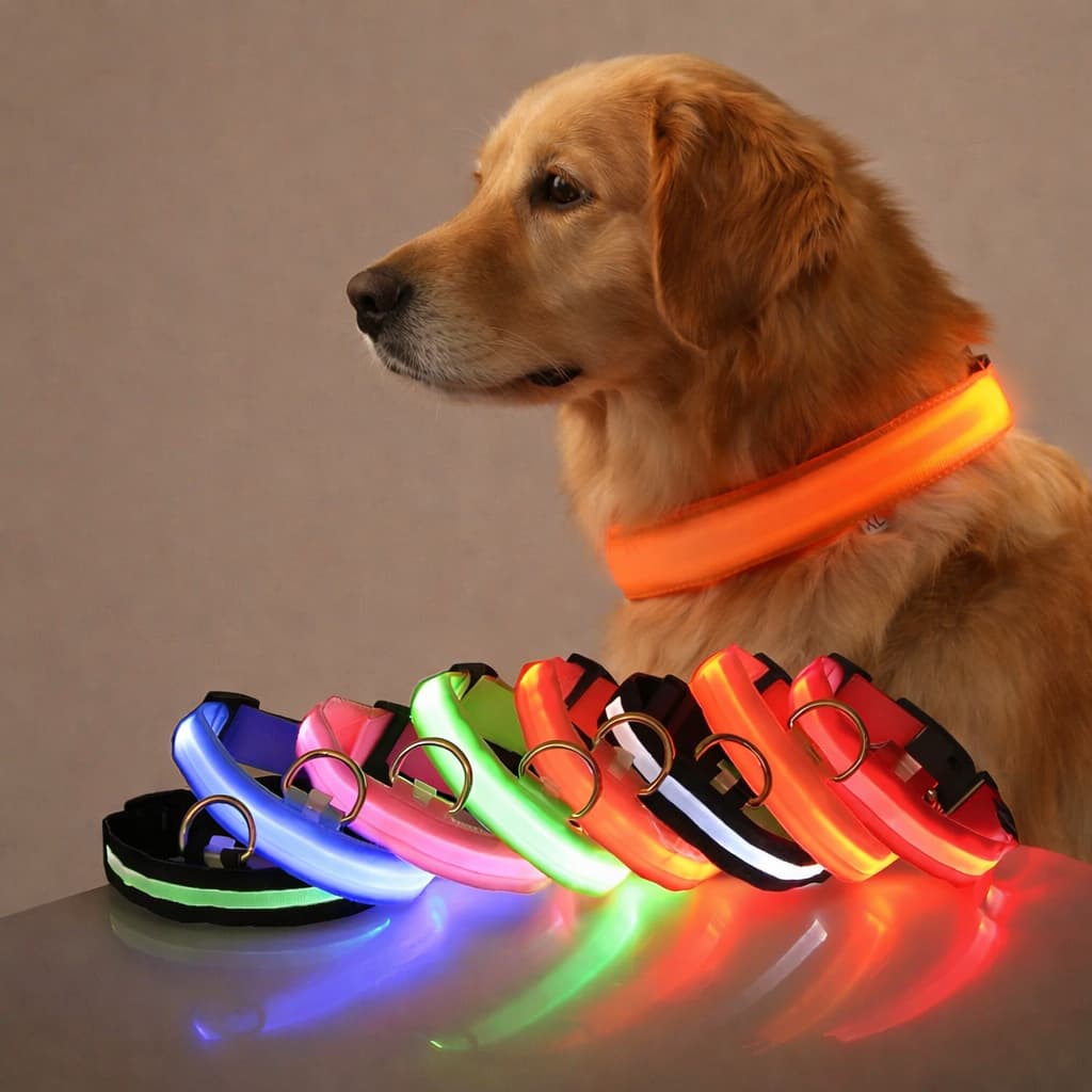 Leuchti für Hunde – auffälliges Hunde LED - Halsband | Furrivio™ für Hunde & Katzen – jetzt bei Furrivio kaufen
