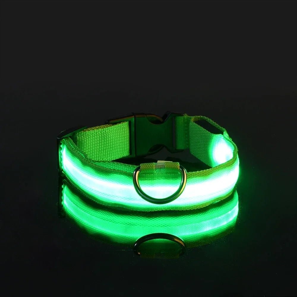 Leuchti für Hunde – auffälliges Hunde LED - Halsband | Furrivio™ für Hunde & Katzen – jetzt bei Furrivio kaufen