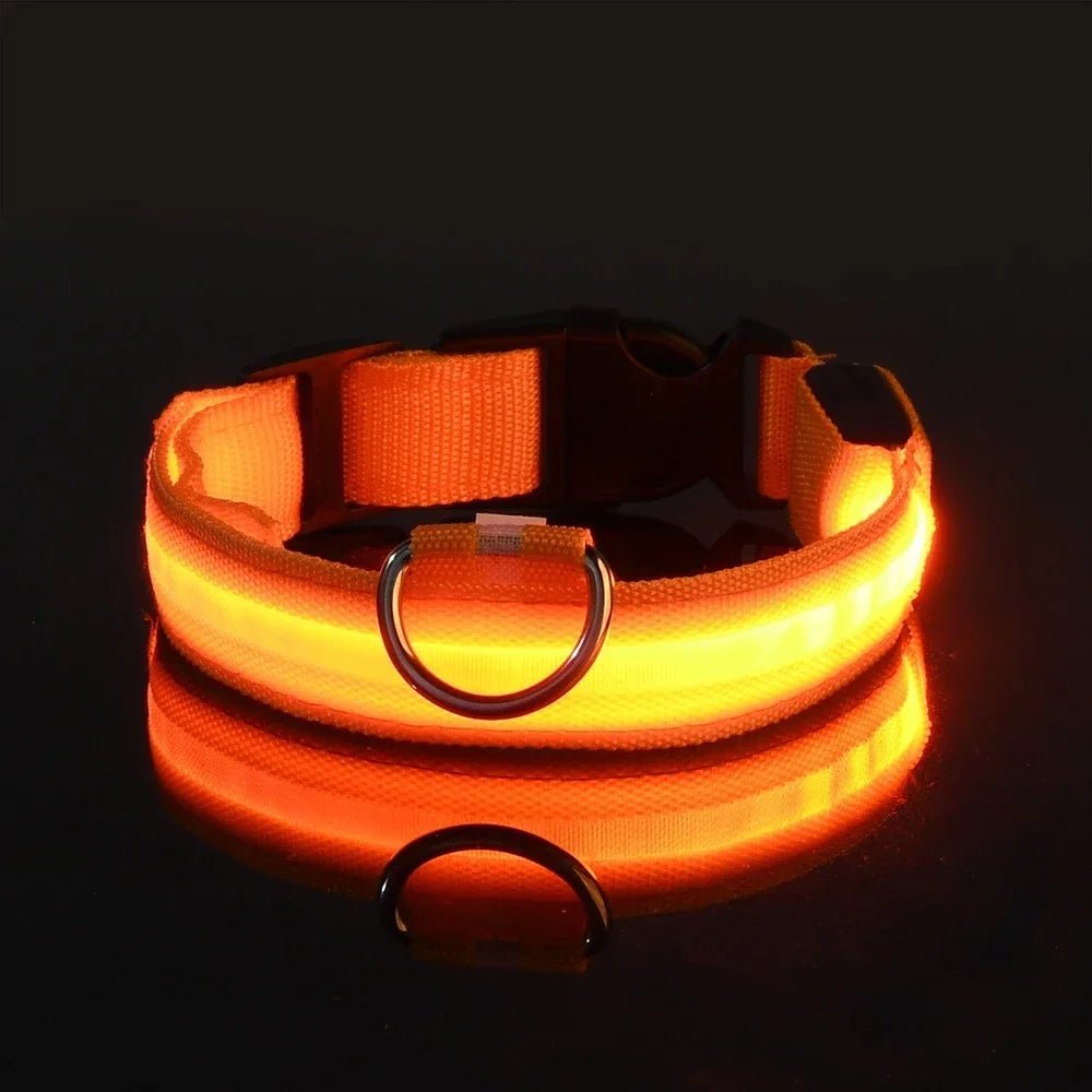 Leuchti für Hunde – auffälliges Hunde LED - Halsband | Furrivio™ für Hunde & Katzen – jetzt bei Furrivio kaufen