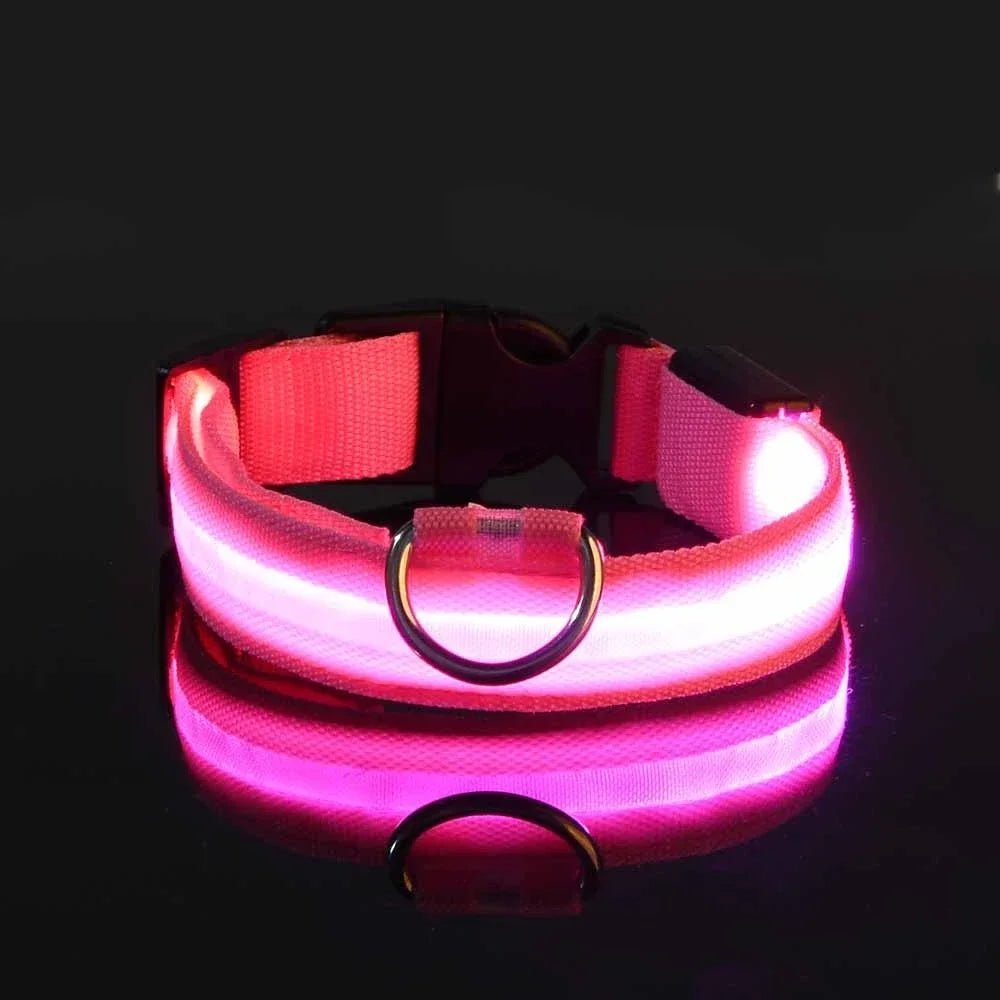 Leuchti für Hunde – auffälliges Hunde LED - Halsband | Furrivio™ für Hunde & Katzen – jetzt bei Furrivio kaufen