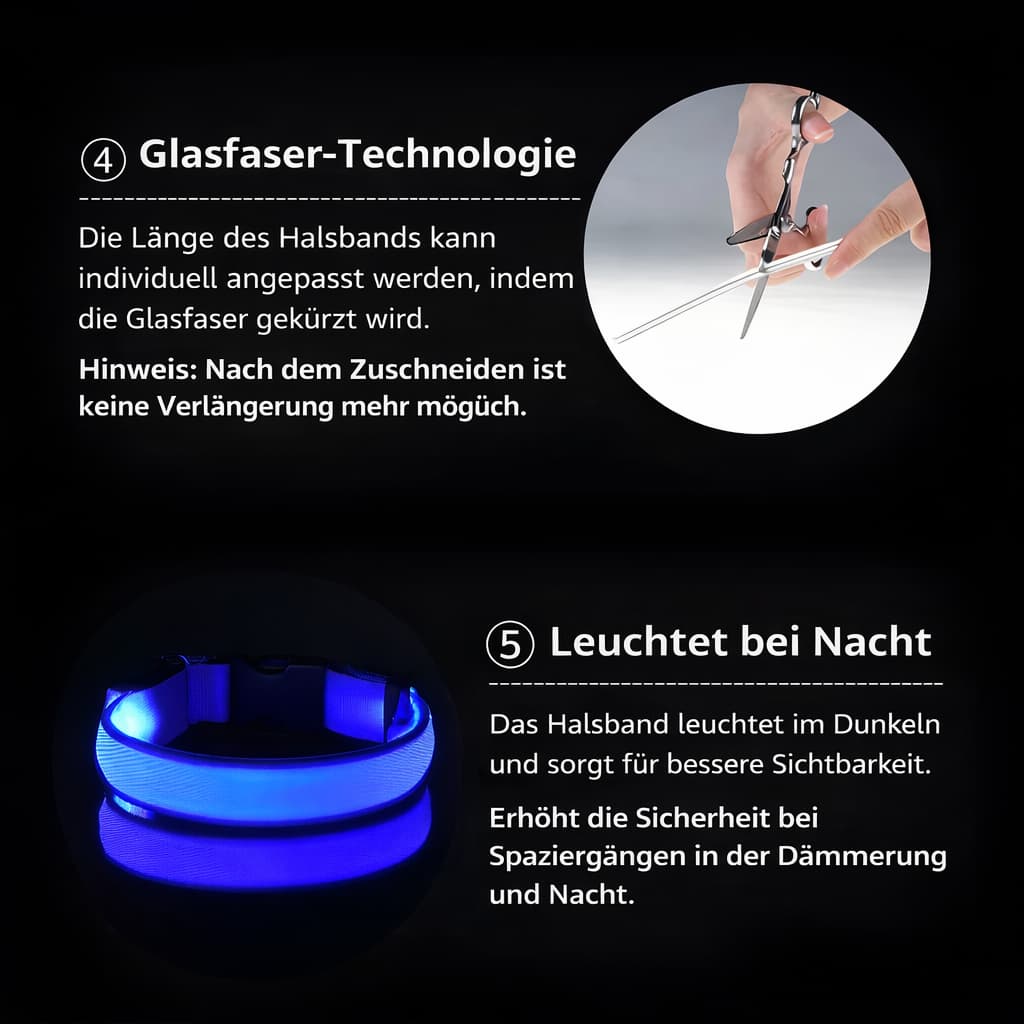 Leuchti für Hunde – auffälliges Hunde LED - Halsband | Furrivio™ für Hunde & Katzen – jetzt bei Furrivio kaufen
