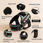 Personalisiertes No - Pull Hundegeschirr – Sicherheit trifft Stil | Furrivio™ für Hunde & Katzen – jetzt bei Furrivio™ kaufen