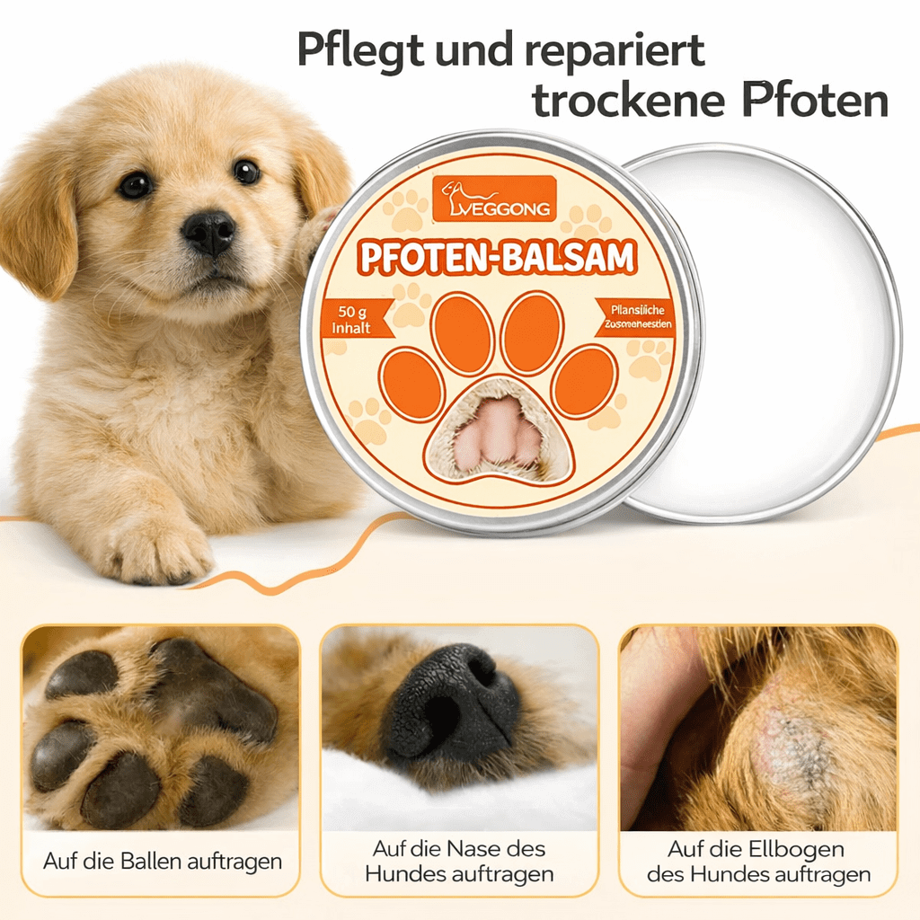 Pfotenbalsam Hund – perfekte Pflege für Hundepfoten | Furrivio für Hunde & Katzen – jetzt bei Furrivio™ kaufen