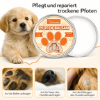 Pfotenbalsam Hund – perfekte Pflege für Hundepfoten | Furrivio für Hunde & Katzen – jetzt bei Furrivio™ kaufen