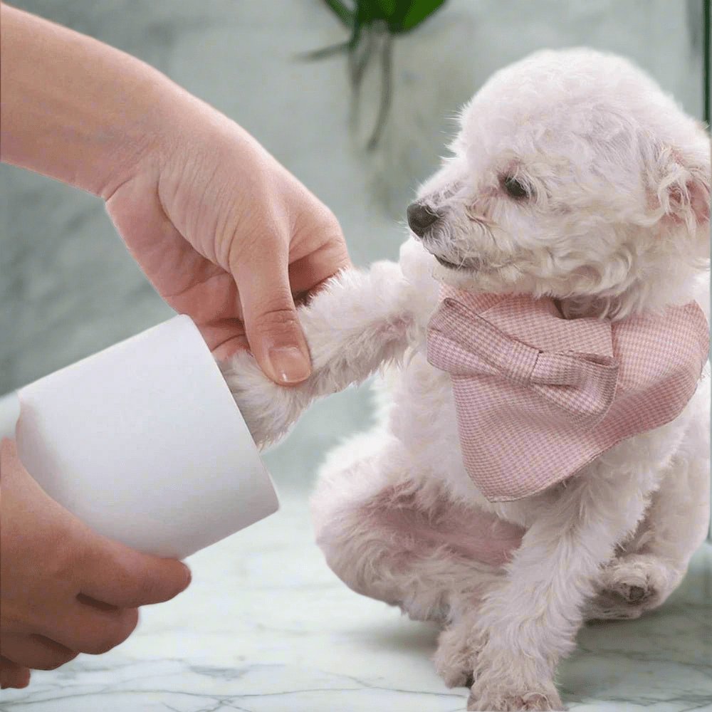 Pfotenreiniger für Hunde – Pfotenreinigung in Sekunden | Furrivio™ für Hunde & Katzen – jetzt bei Furrivio™ kaufen