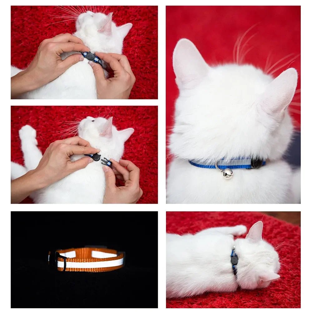 Reflektierendes Breakaway - Katzenhalsband mit Glöckchen & Sicherheitsverschluss – verstellbar, reflektiv & ausreißbar | Furrivio™ für Hunde & Katzen – jetzt bei Furrivio™ kaufen