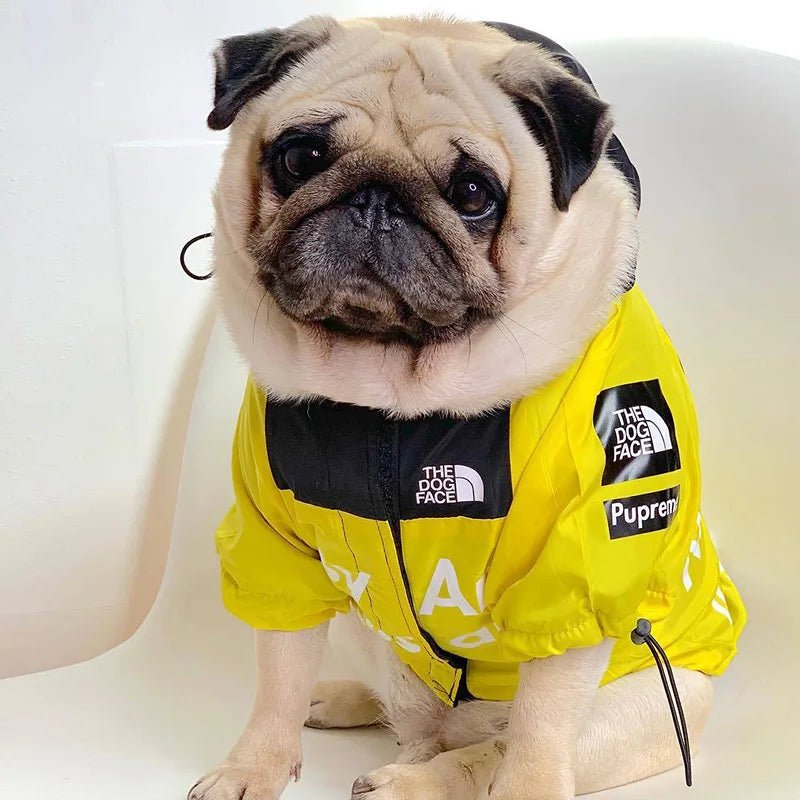 Regenjacke Hund klein & groß | Hunde Regenjacke - wasserdicht für Hunde & Katzen – jetzt bei Furrivio™ kaufen