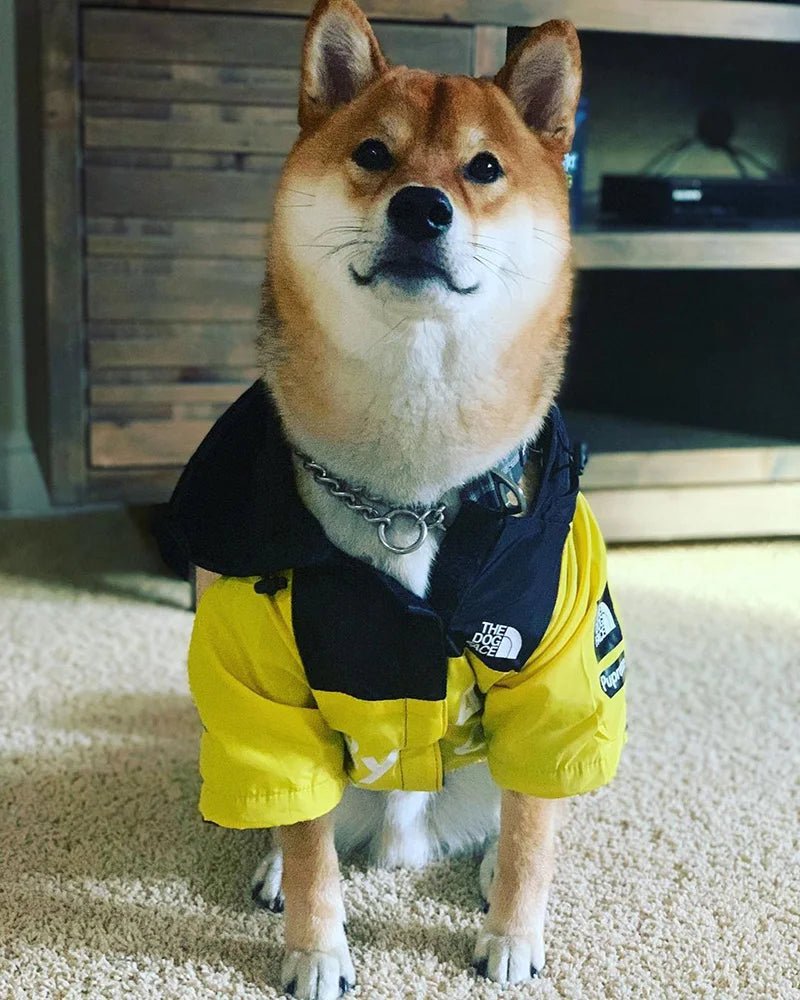 Regenjacke Hund klein & groß | Hunde Regenjacke - wasserdicht für Hunde & Katzen – jetzt bei Furrivio™ kaufen