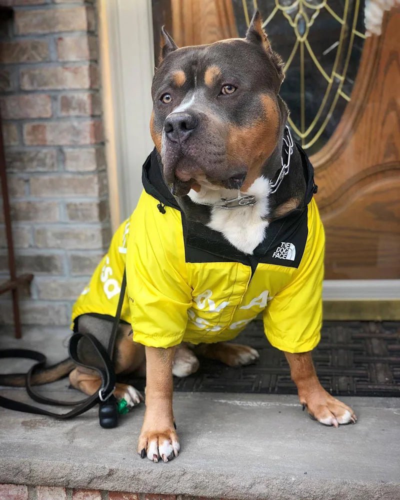 Regenjacke Hund klein & groß | Hunde Regenjacke - wasserdicht für Hunde & Katzen – jetzt bei Furrivio™ kaufen