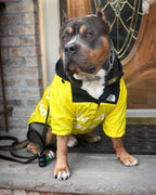 Regenjacke Hund klein & groß | Hunde Regenjacke - wasserdicht für Hunde & Katzen – jetzt bei Furrivio™ kaufen