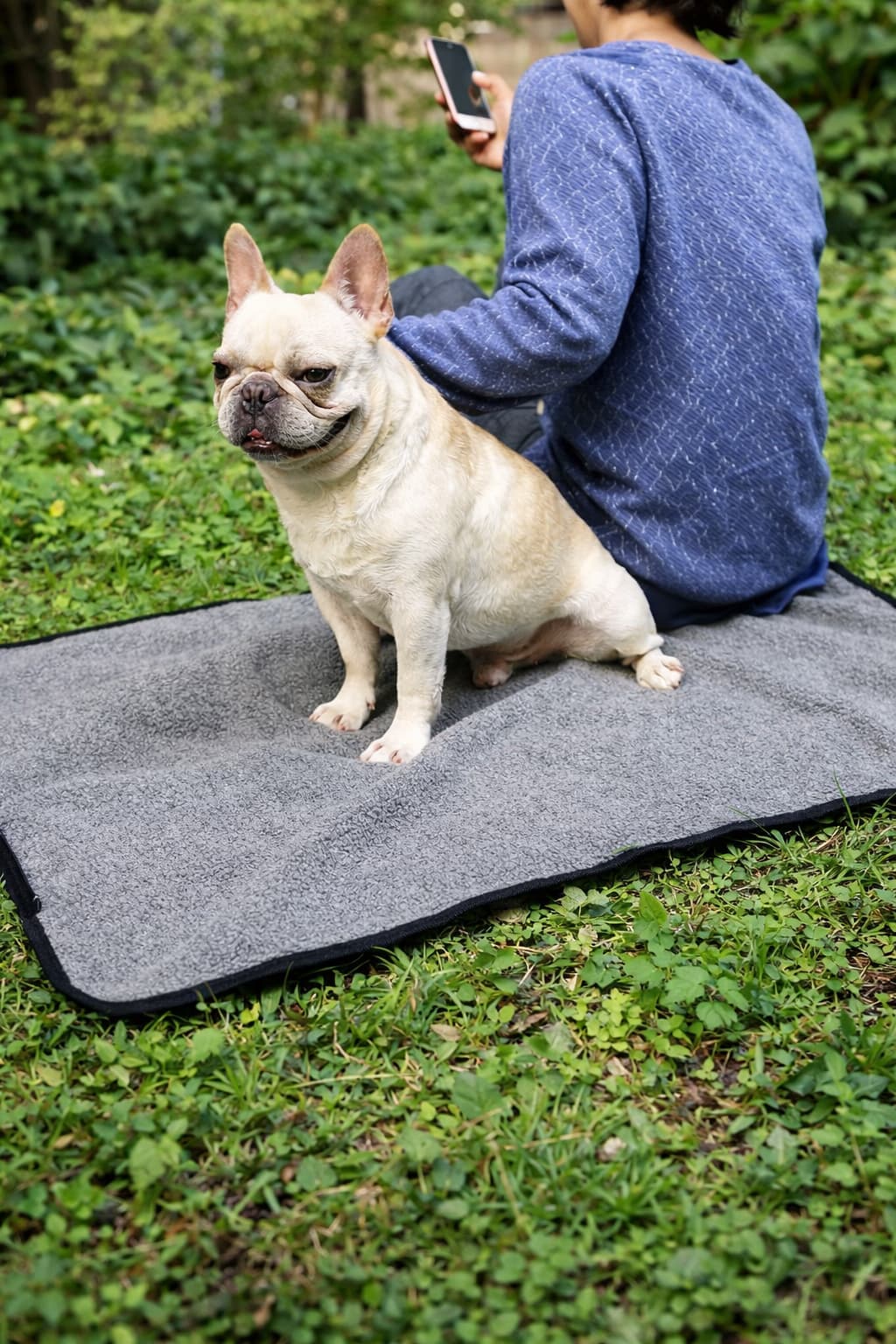 Reisedecke für Hunde - Hundedecke zum Mitnehmen | Furrivio™ für Hunde & Katzen – jetzt bei Furrivio™ kaufen