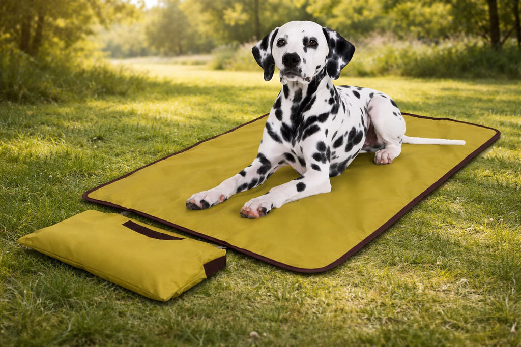 Reisedecke für Hunde - Hundedecke zum Mitnehmen | Furrivio™ für Hunde & Katzen – jetzt bei Furrivio™ kaufen