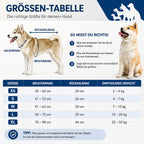 Rettungsweste für Hunde - Hunde Schwimmweste mit Auftrieb für Hunde & Katzen – jetzt bei Furrivio kaufen