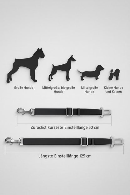 Sicherheitsgurt für Hunde im Auto - verstellbarer Anschnallgurt für Hunde & Katzen – jetzt bei Furrivio™ kaufen