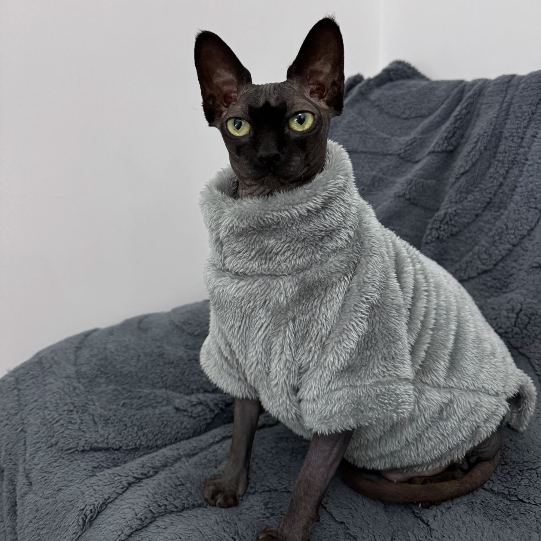 Sphynx Katzenpullover Plüsch– Warmer Winterpullover Arctic Velvet für haarlose Katzen grau | Furrivio™