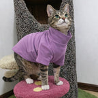 Sphynx Katzenpullover Rollkragen – Fleece Sweater für Katzen | Herbst & Winter Kleidung | Furrivio™ für Hunde & Katzen – jetzt bei Furrivio kaufen