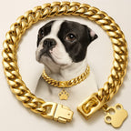 Starkes Edelstahl Hunde Halsband mit Sicherheitsverschluss – Goldene Cuban Link Kette | Furrivio™