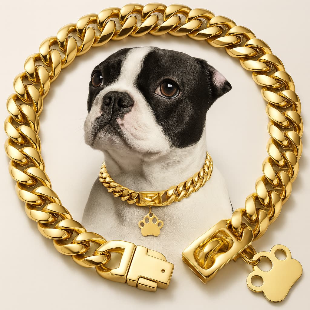 Starkes Edelstahl Hunde Halsband mit Sicherheitsverschluss – Goldene Cuban Link Kette | Furrivio™ für Hunde & Katzen – jetzt bei Furrivio™ kaufen