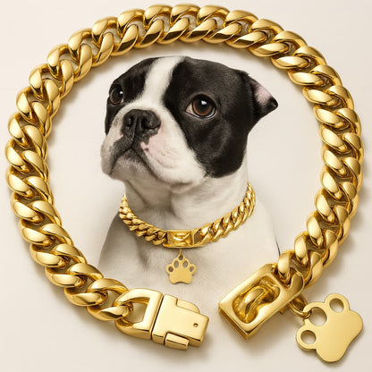 Starkes Edelstahl Hunde Halsband mit Sicherheitsverschluss – Goldene Cuban Link Kette | Furrivio™ für Hunde & Katzen – jetzt bei Furrivio™ kaufen