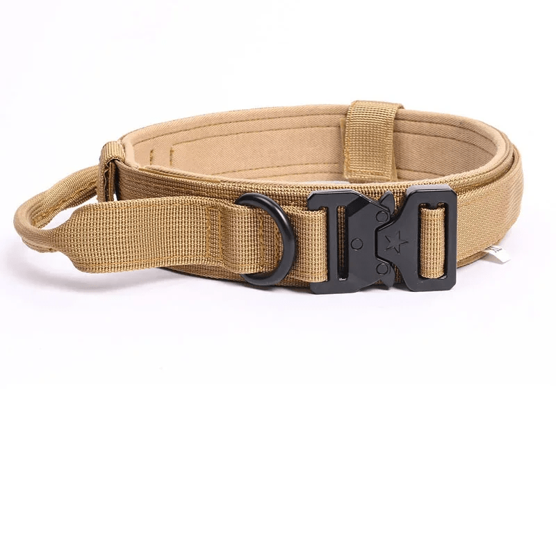 Taktisches Hundehalsband (verstellbar) | Furrivio™ für Hunde & Katzen – jetzt bei Furrivio™ kaufen