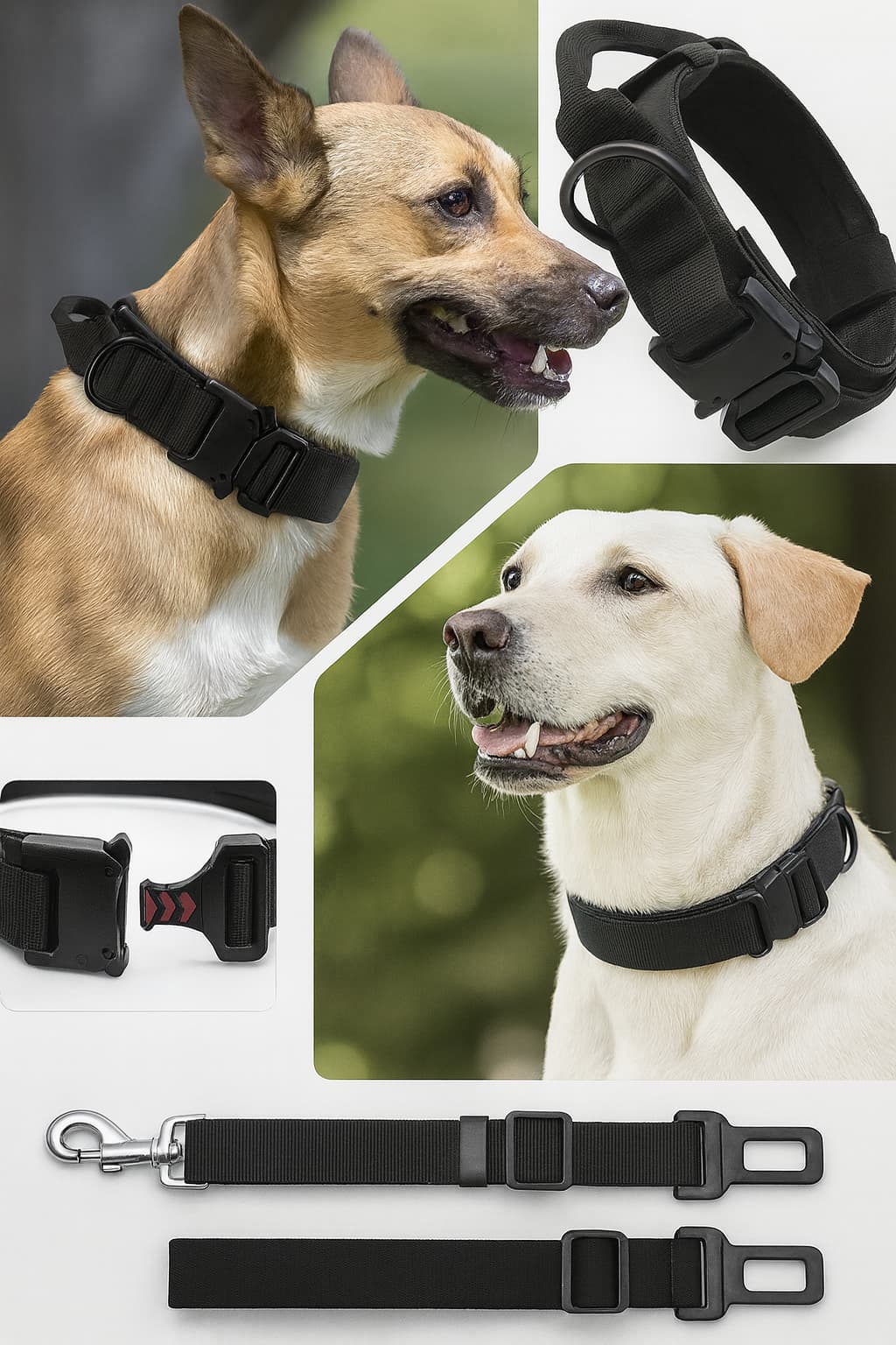 Taktisches Hundehalsband (verstellbar) | Furrivio™ für Hunde & Katzen – jetzt bei Furrivio™ kaufen
