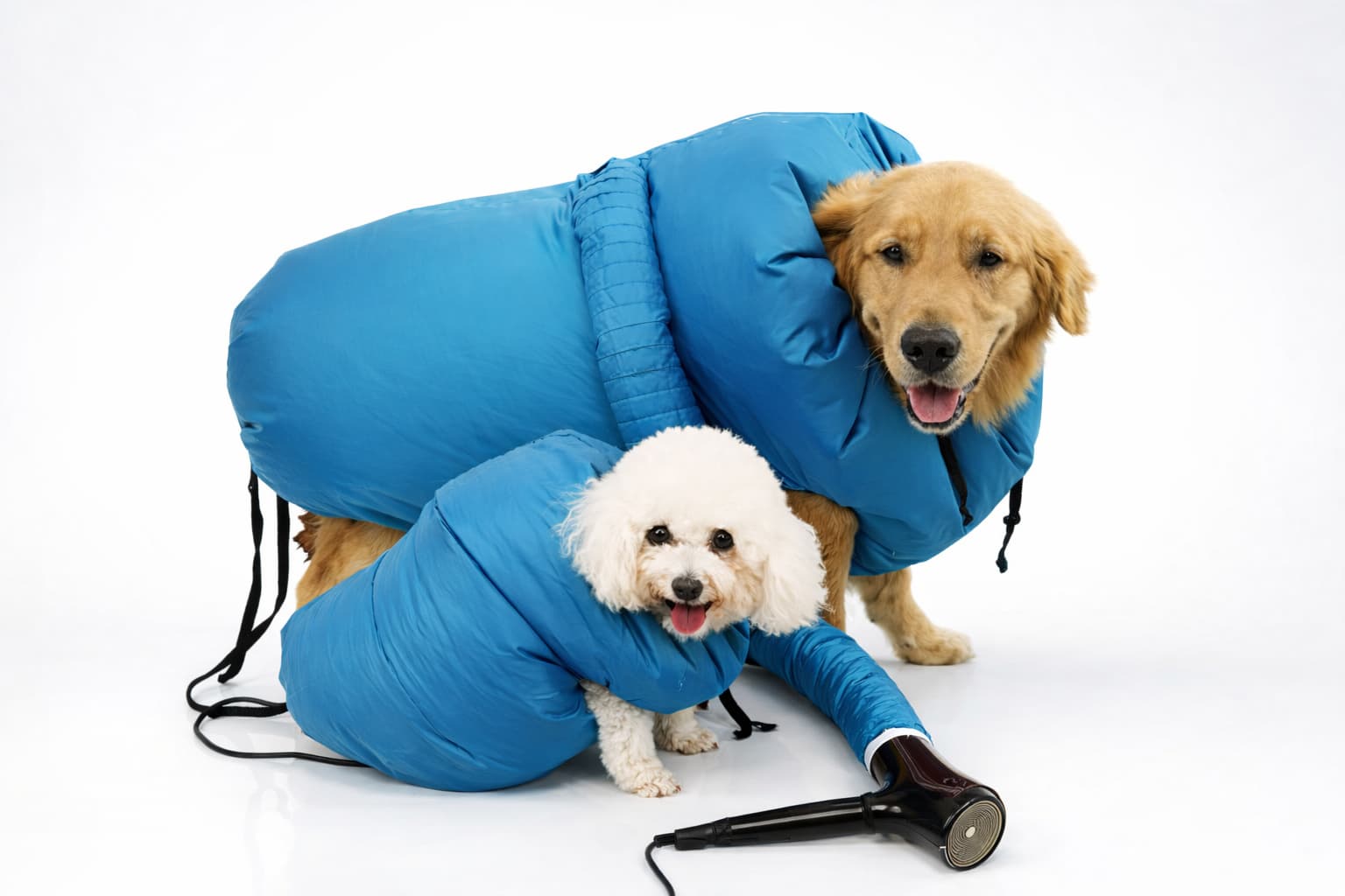 Trockenmantel Hund – schnelles Trocknen garantiert | Furrivio™ für Hunde & Katzen – jetzt bei Furrivio kaufen