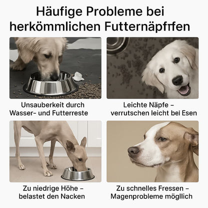 Verstellbarer Doppelnapf Hund – Erhöhter Futterständer mit Edelstahl - Schalen | Furrivio™ für Hunde & Katzen – jetzt bei Furrivio™ kaufen