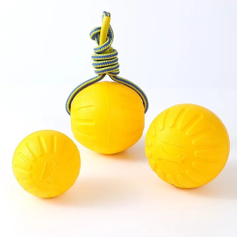 Wasserspielzeug Hund - Schwimmspielzeug für Hunde für Hunde & Katzen – jetzt bei Furrivio kaufen