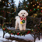 Weihnachtsschal für Hunde – Warm & Festlich | Furrivio™ für Hunde & Katzen – jetzt bei Furrivio™ kaufen