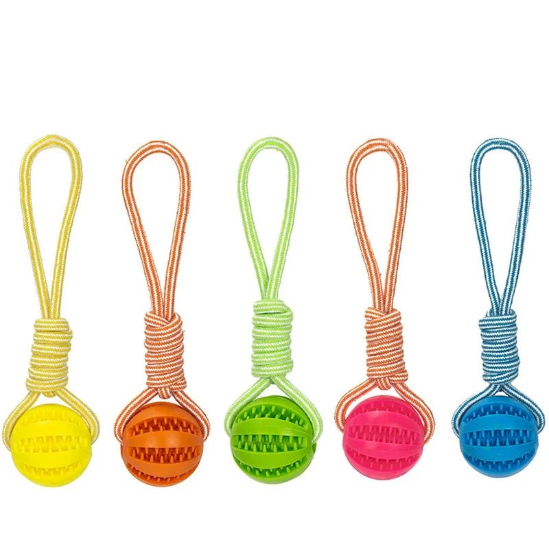 Zahnpflegeball Hund - Leckerli Ball für Hunde | Furrivio™ für Hunde & Katzen – jetzt bei Furrivio™ kaufen